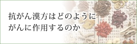 抗がん漢方はどのようにがんに作用するのか