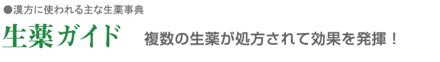 生薬ガイド　複数の生薬が処方されて効果を発揮！