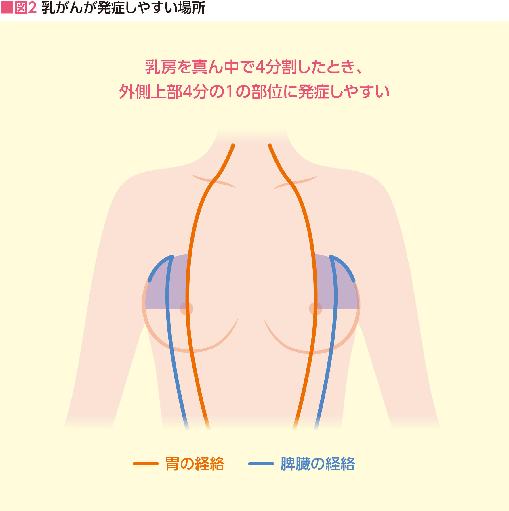 図2　乳がんが発症しやすい場所