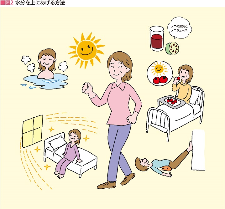 図2　水分を上にあげる方法